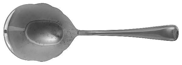 Monroe (Stainless) Solid Shell Casserole Spoon