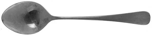 WCO2 (Stainless) Teaspoon