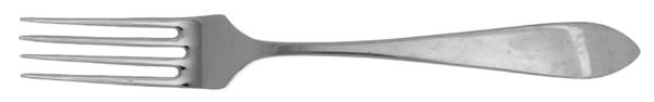 Serenade (Stainless) by Wedgwood Silver
