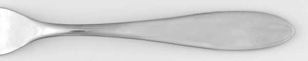 WGF2 (Stainless) by Wedgwood Silver