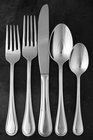 Hadley (Stainless) 5 Piece Place Setting