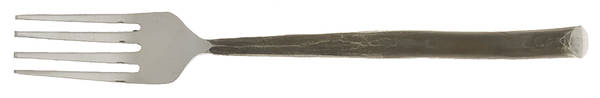 Twig (Stainless) Individual Salad Fork