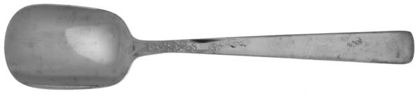 WWA6 (Stainless) Sugar Spoon