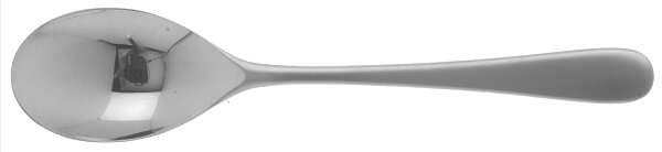 Aquatique Ice (Stainless) Tablespoon (Serving Spoon)