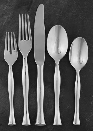 Seasons (Stainless) 5 Piece Place Setting