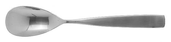 Bolo (Stainless) Sugar Spoon