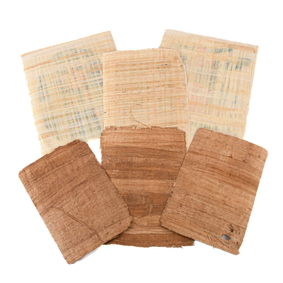 Set of Six Egyptian Papyrus Paintings: Ank and Tut-6