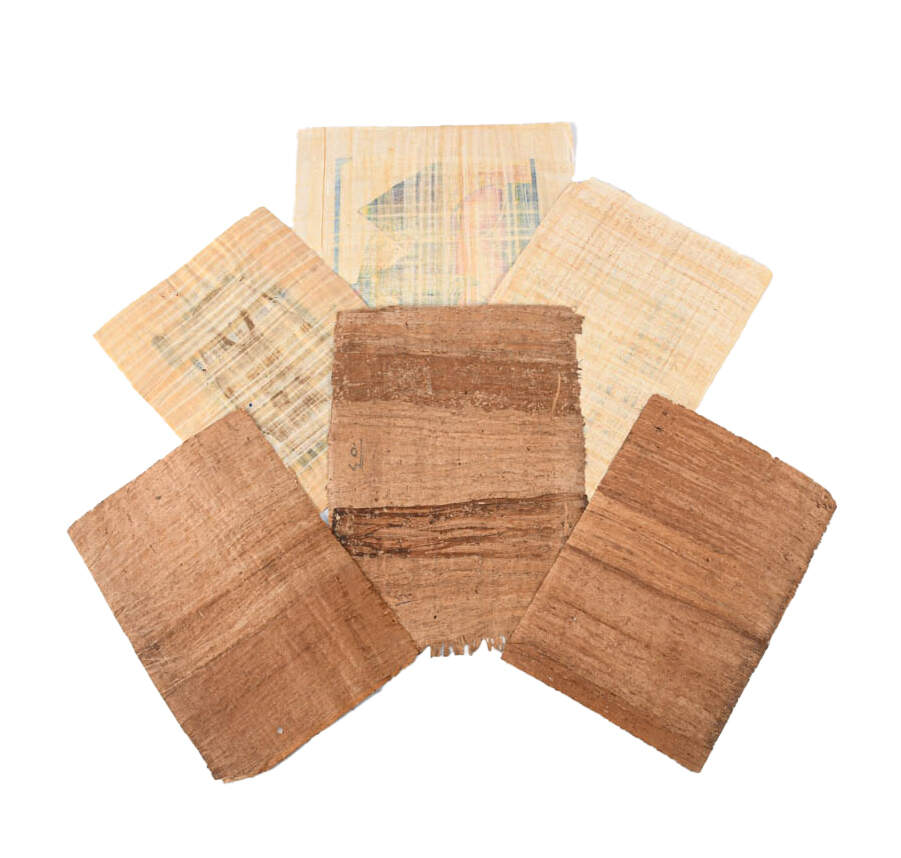 Set of Six Egyptian Papyrus Paintings: Faces of King Tut-6