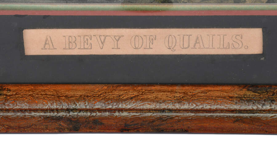 Framed J.S. Hill "A Bevy of Quails" Print-5