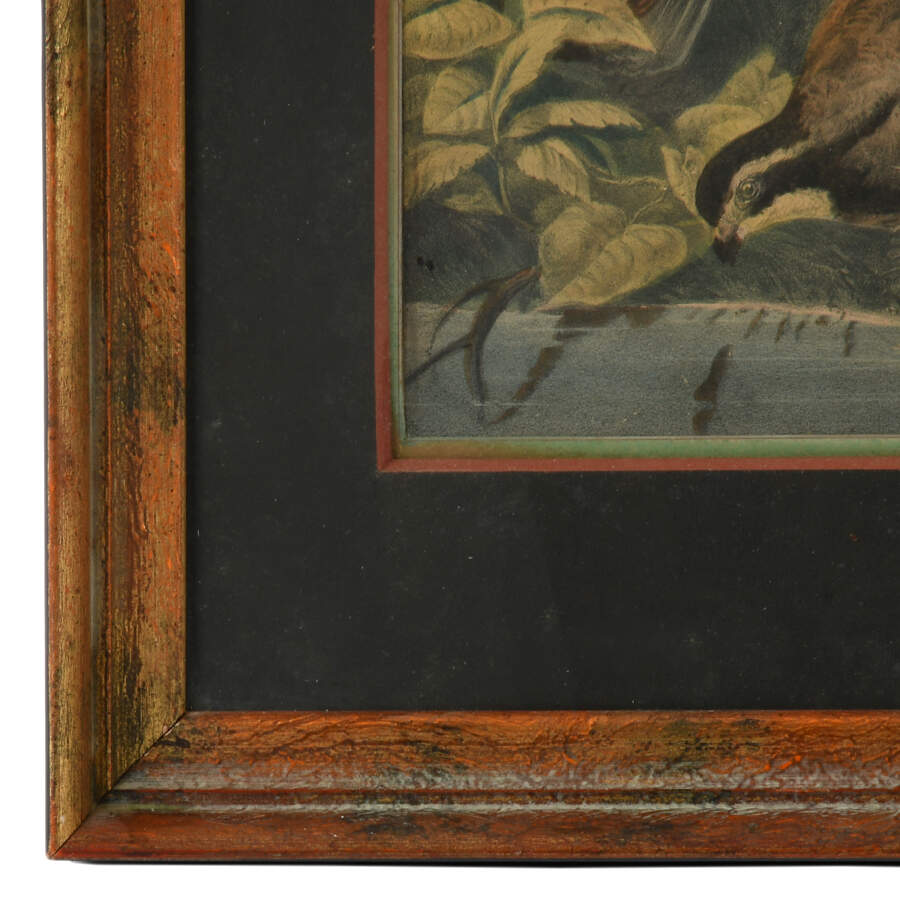 Framed J.S. Hill "A Bevy of Quails" Print-3