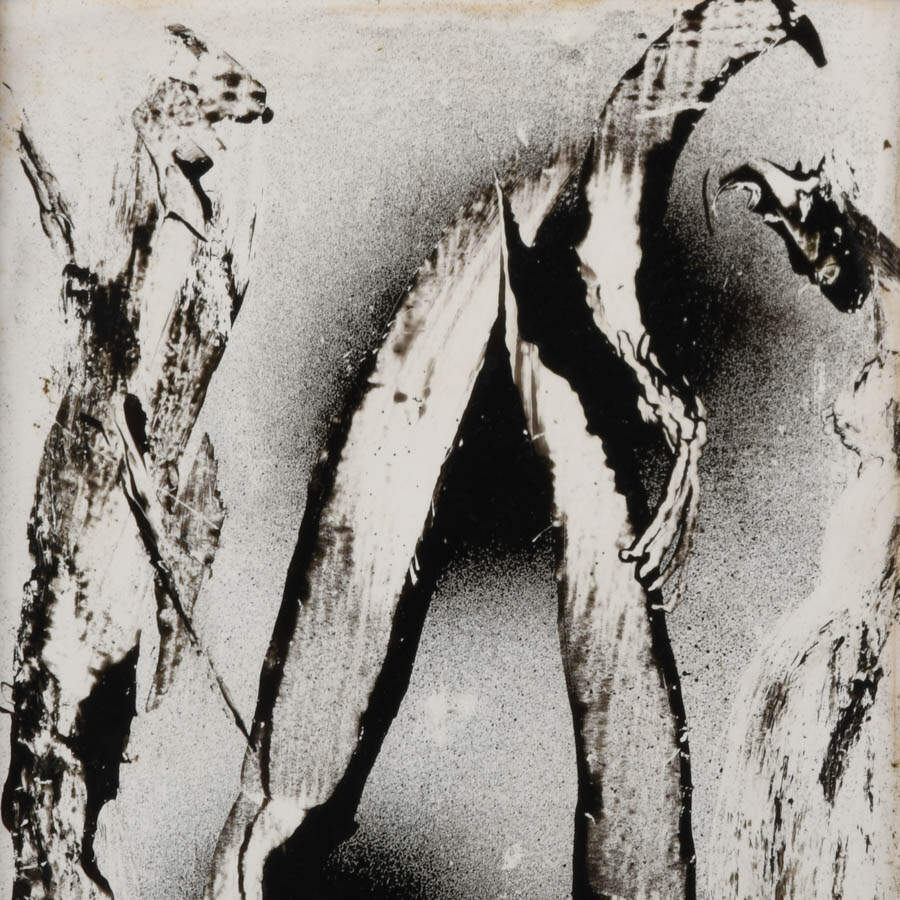 Framed J. Akston "Jungle Promenade" Artwork-3