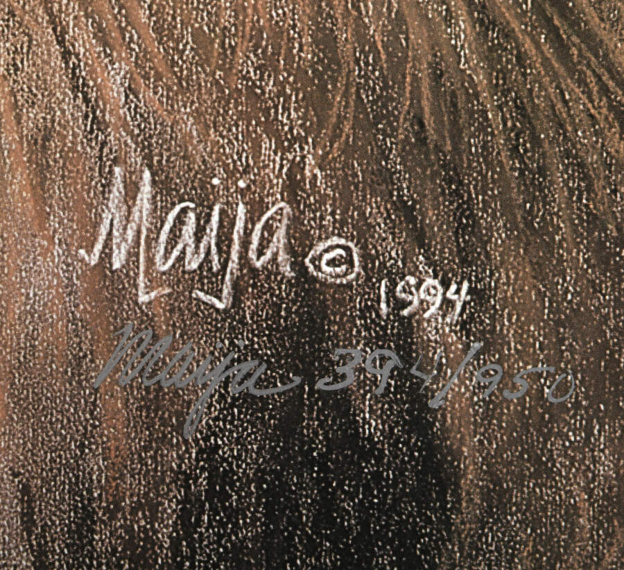 Signed Maija Limited-Edition 394/950 "Kindred Spirits" Print-4
