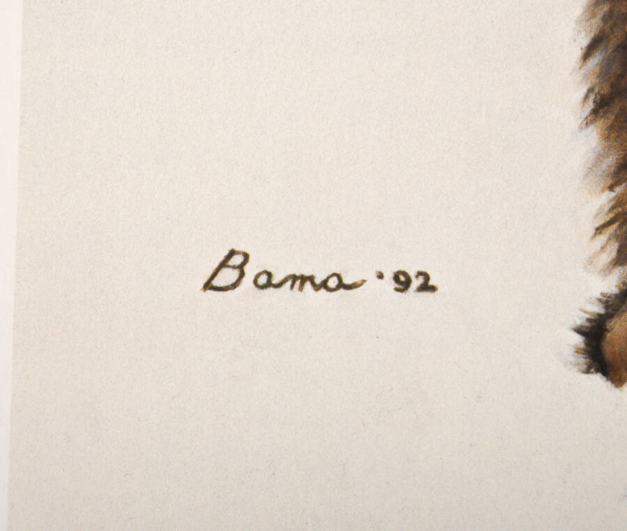 Signed James Bama Limited-Edition 288/1000 "Blackfeet War Robe" Print-3