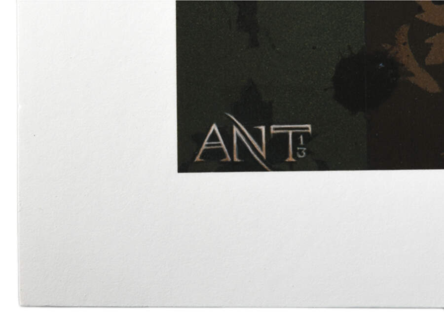 Signed Limited-Edition Anthony Clarkson "Veil of Vanity" Print-3