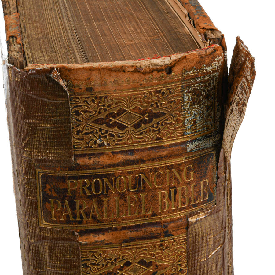 Antique Pictoral Family Bible, Dictionary, and Cities of the Bible-9