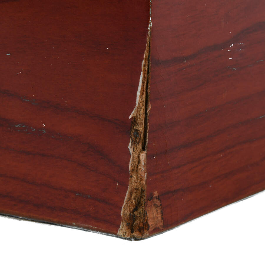 Cigar Portrait Humidor Box-7