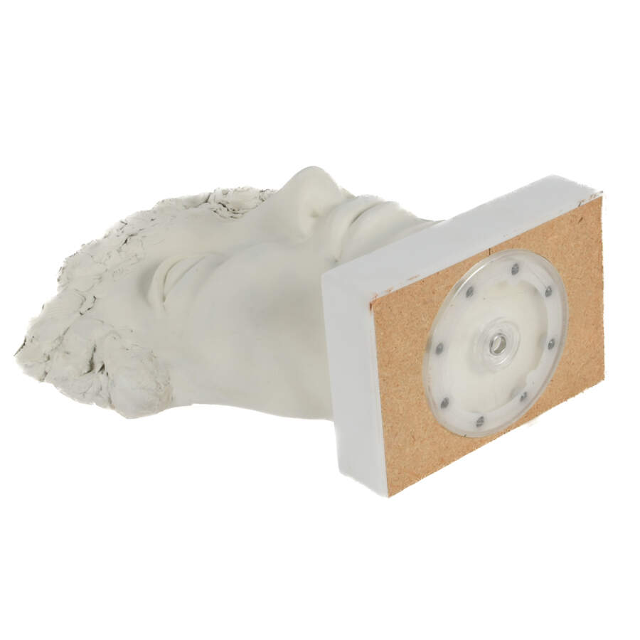 Oversized Classical Face Bust on Lazy Suzan Base-6