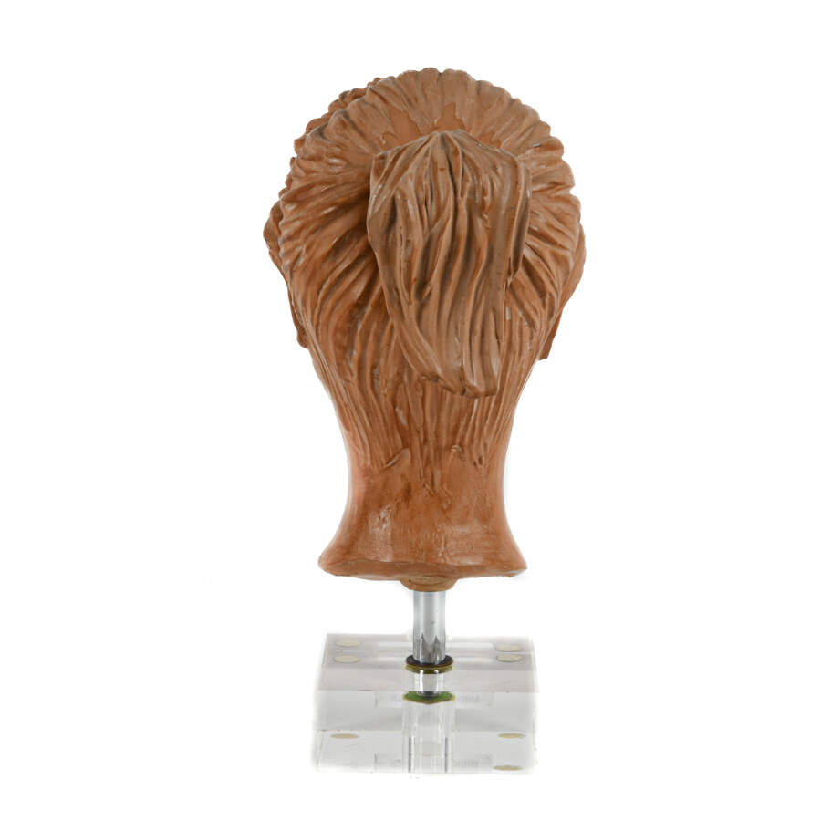 Mirko Moroder Clay Bust on Lucite Base-9
