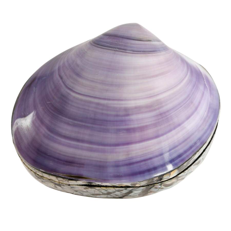 A Pair of Shell Boxes from Different Shores-10