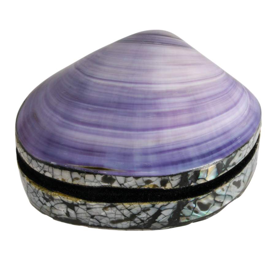 A Pair of Shell Boxes from Different Shores-4