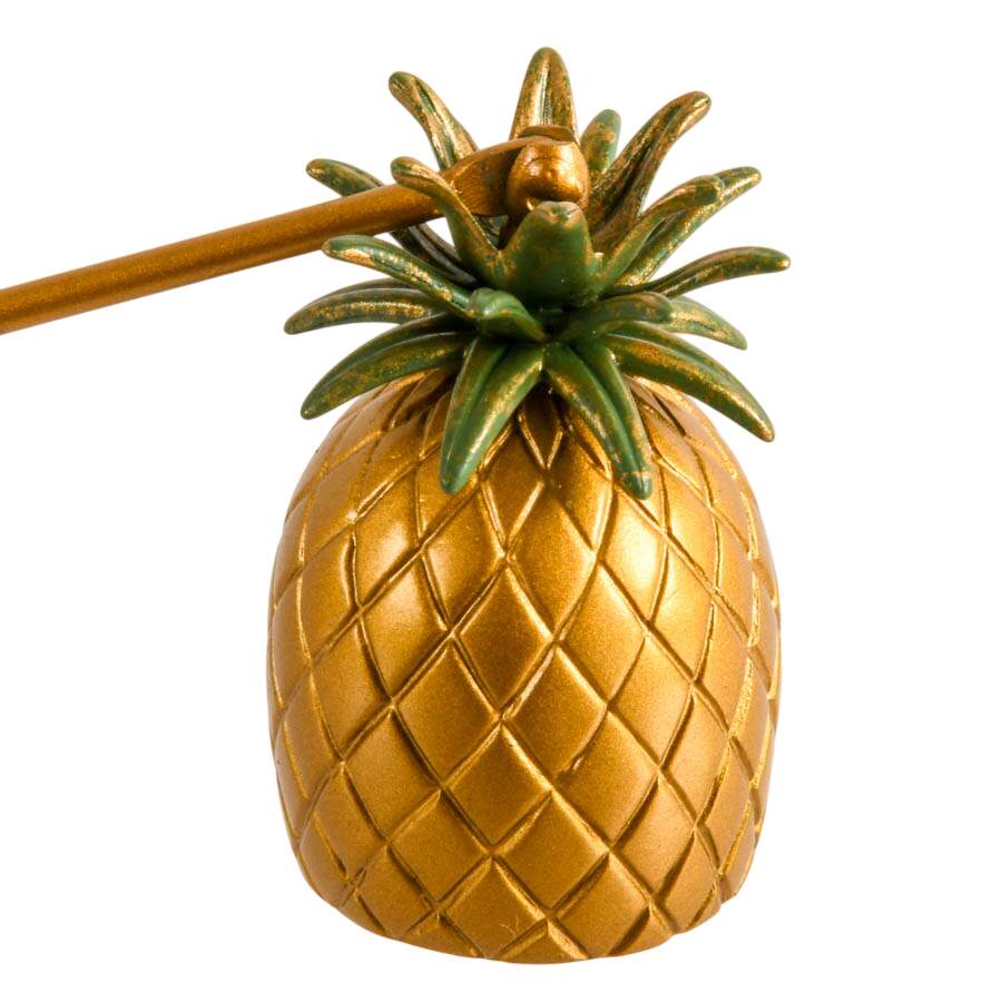 Candle Wall Sconce with Pineapple Snuffer-2