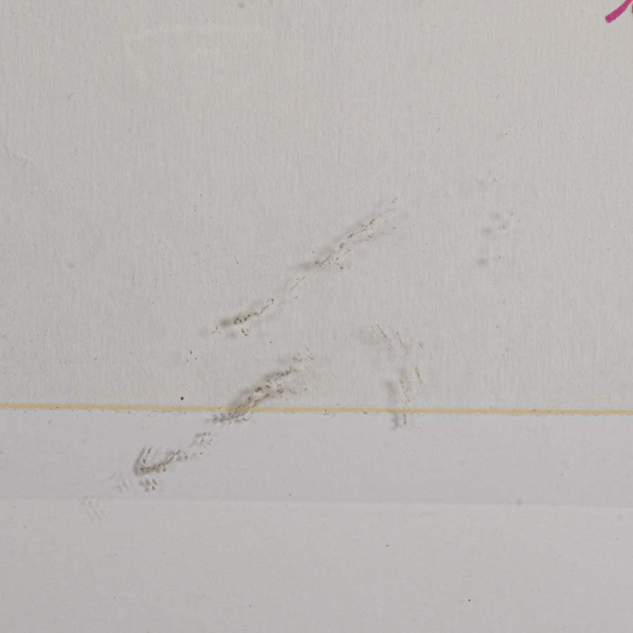 Framed Mixed-Media on Paper Signed by Attila Lakatoush 2012-3