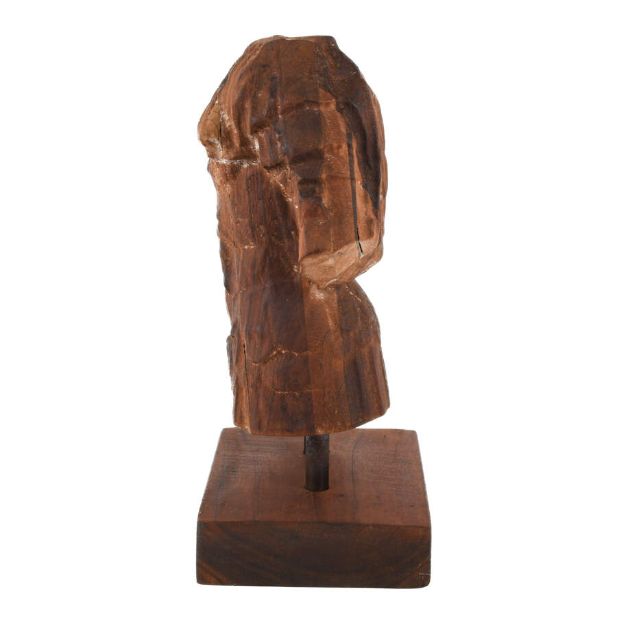Carved Wood Loricata Statue on Base-4