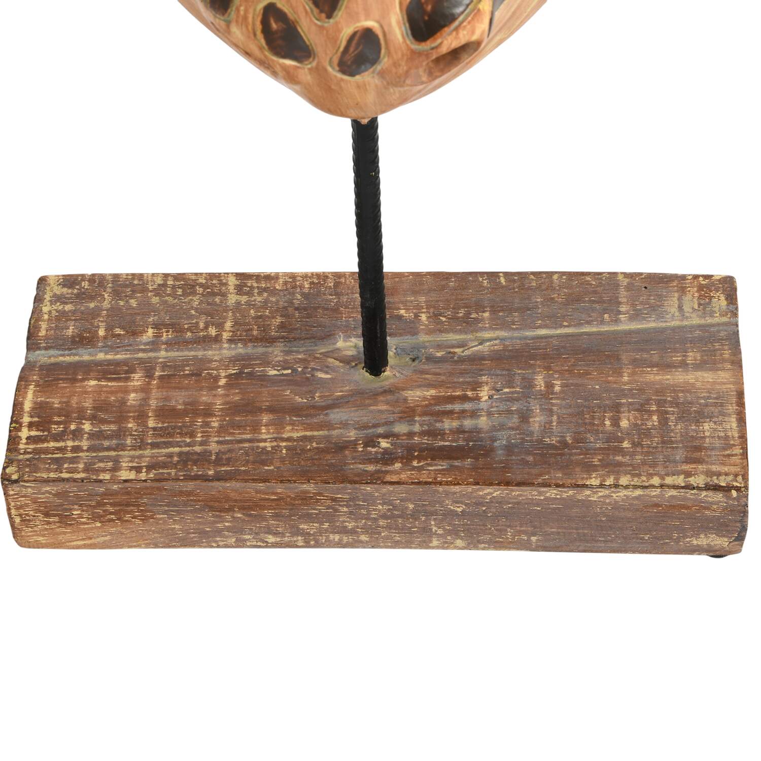 Composition Giraffe Bust on Stand-12