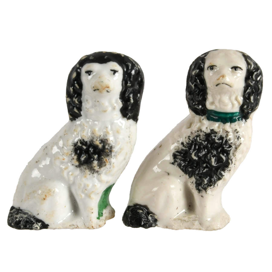 Pack of Friendly Dogs-9