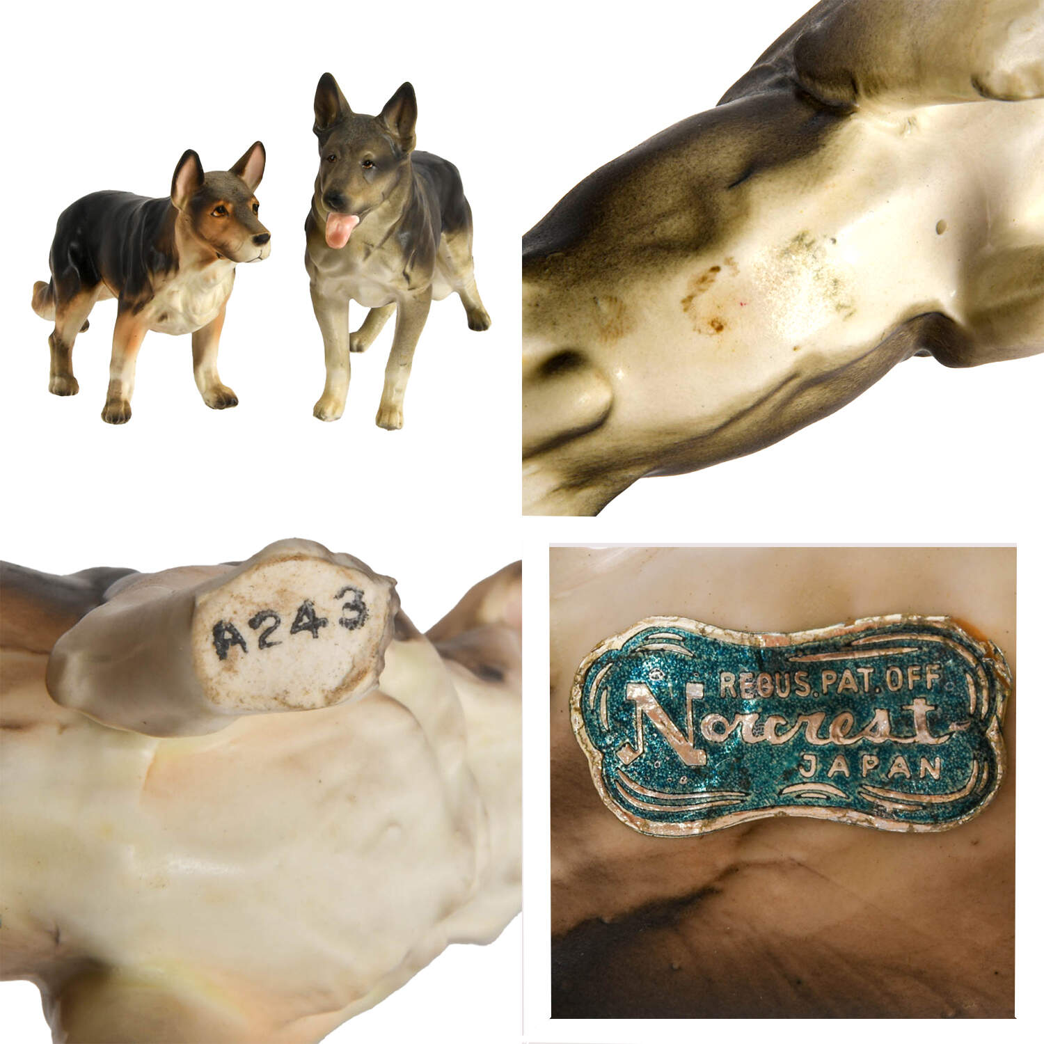 Pack of Friendly Dogs-7