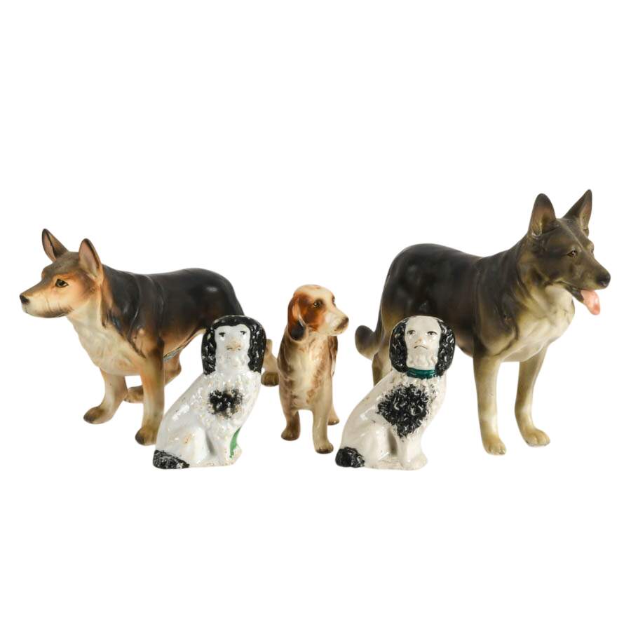 Pack of Friendly Dogs-6