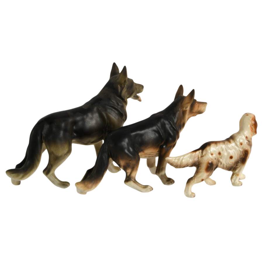 Pack of Friendly Dogs-4