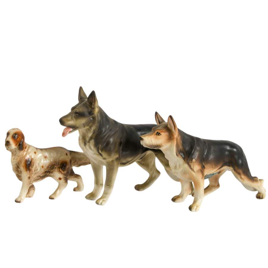 Pack of Friendly Dogs-2