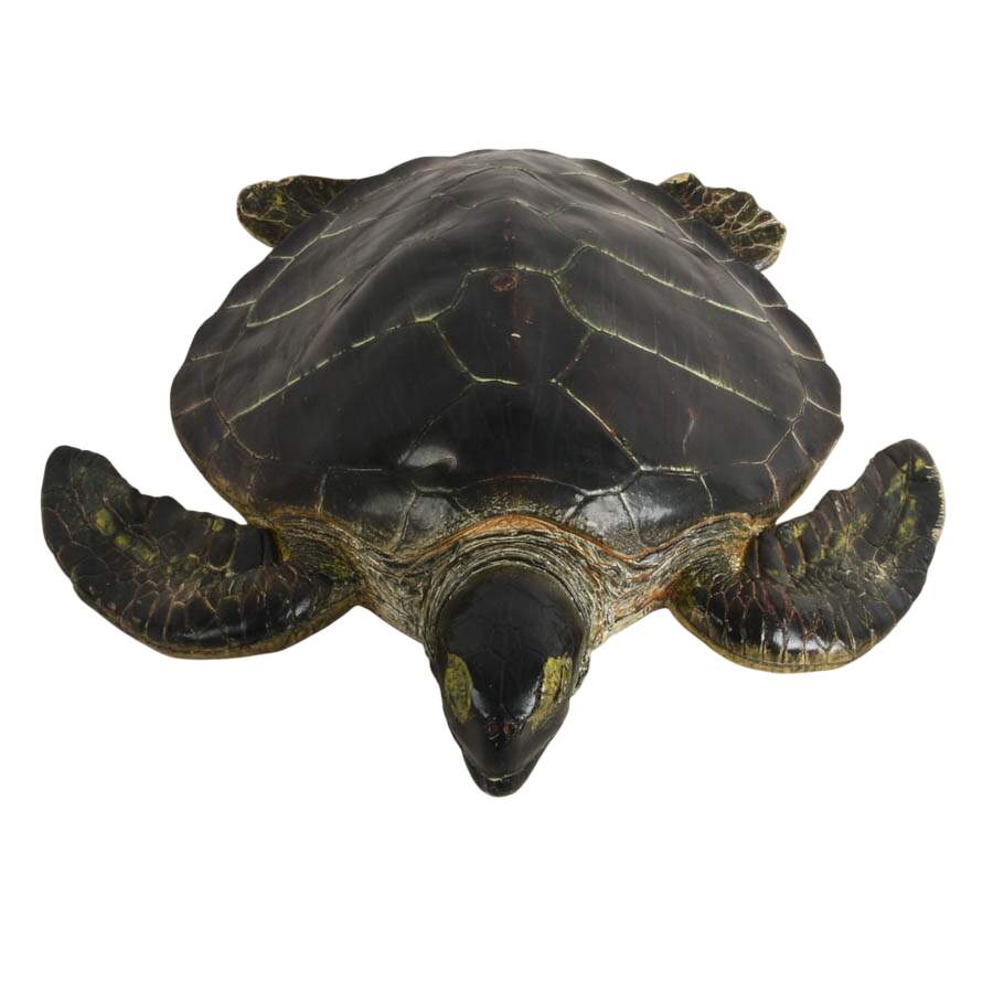Pair of Decorative Rubber Sea Turtles-5