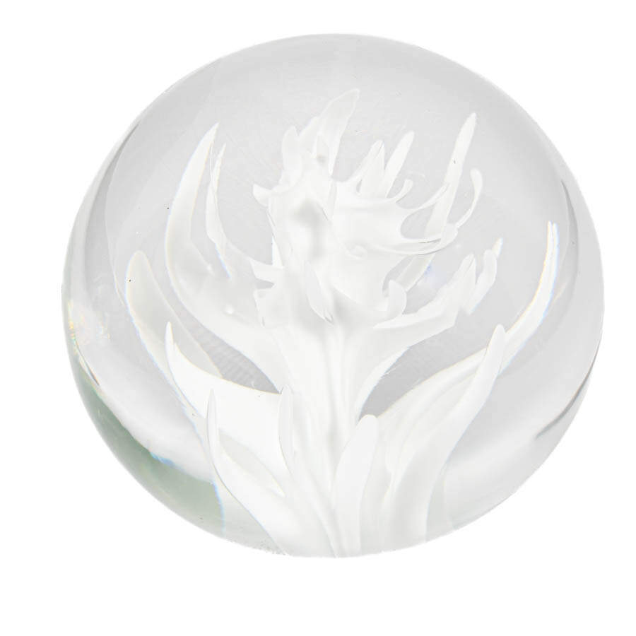 Licio Zanetti Murano Glass Paperweight-3