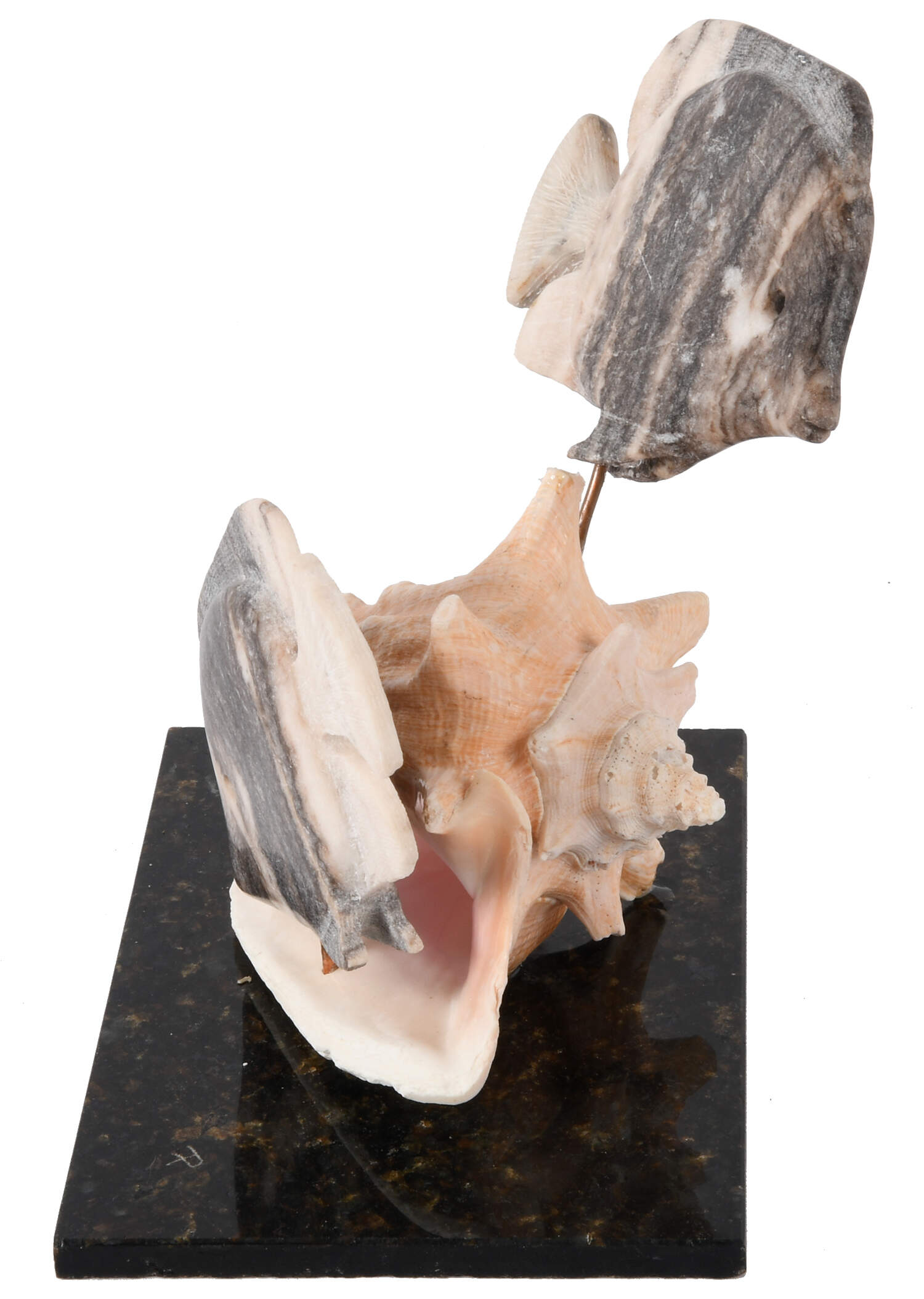 Sturgeon Fish Sculpture by David Paige-5