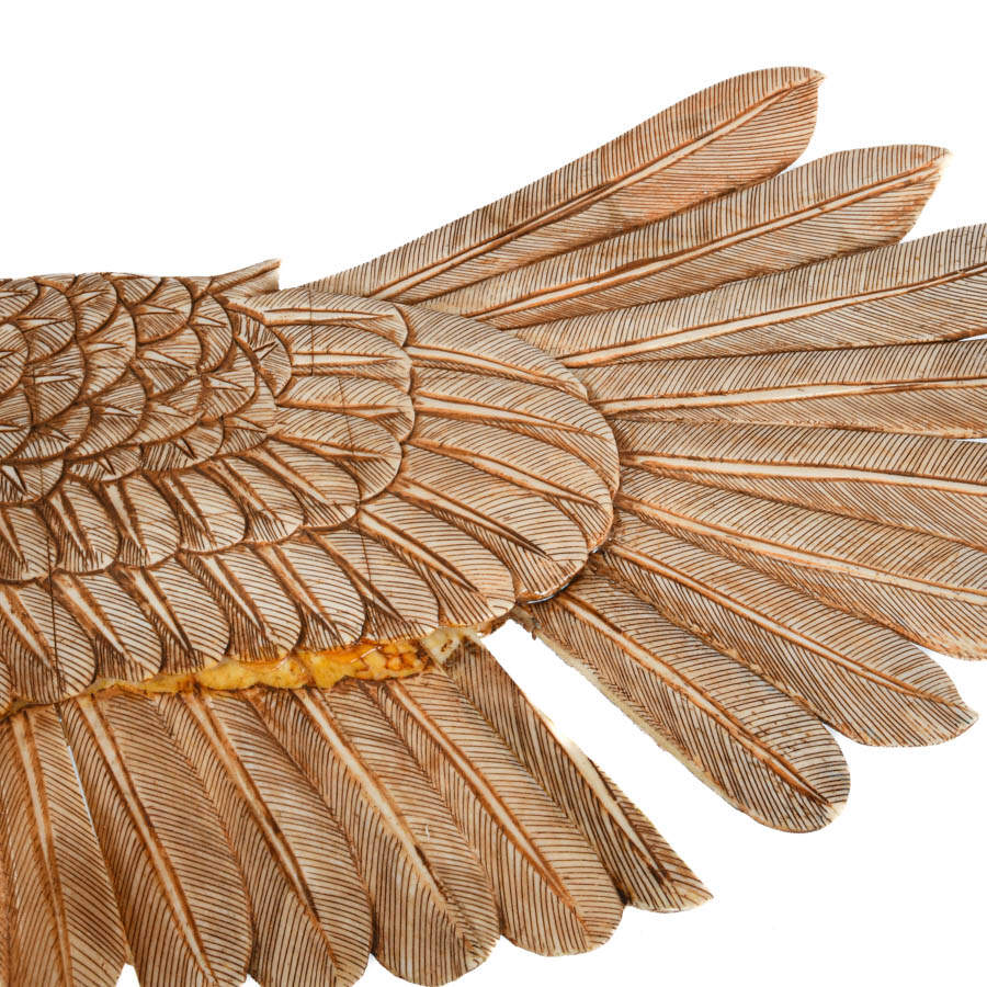 Large Carved Bone Eagle Sculpture-7