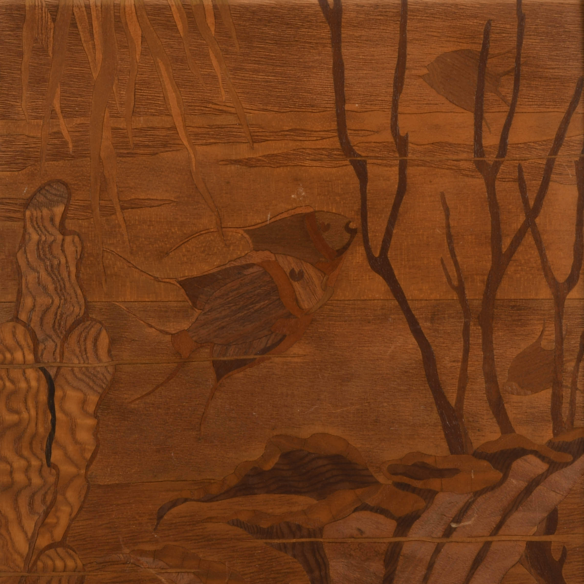 Signed Mathis Schuster Wood Marquetry "Tropical Fantasy" Framed Panel-2