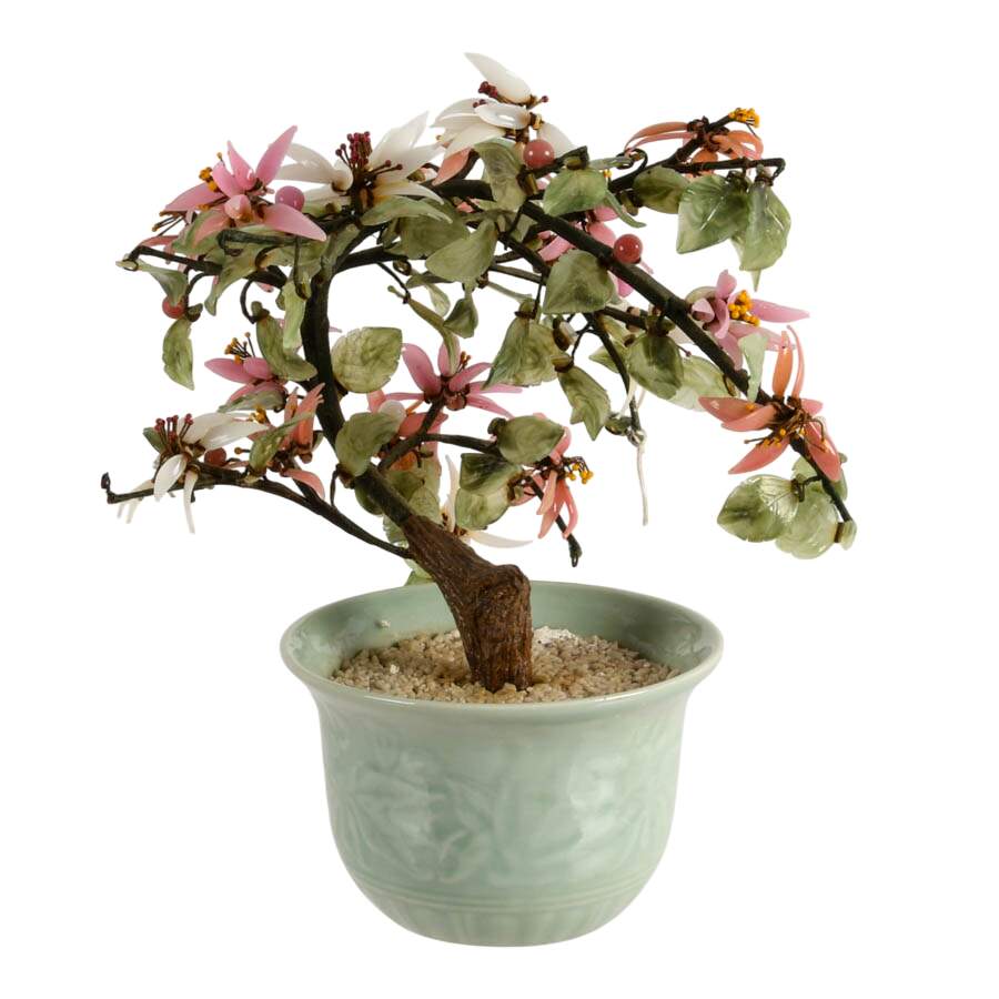 Chinese Bonsai Jade Tree in Celadon Pot-4
