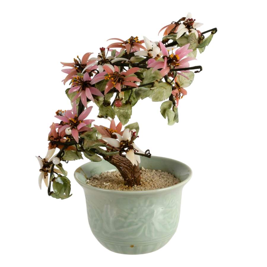 Chinese Bonsai Jade Tree in Celadon Pot-3