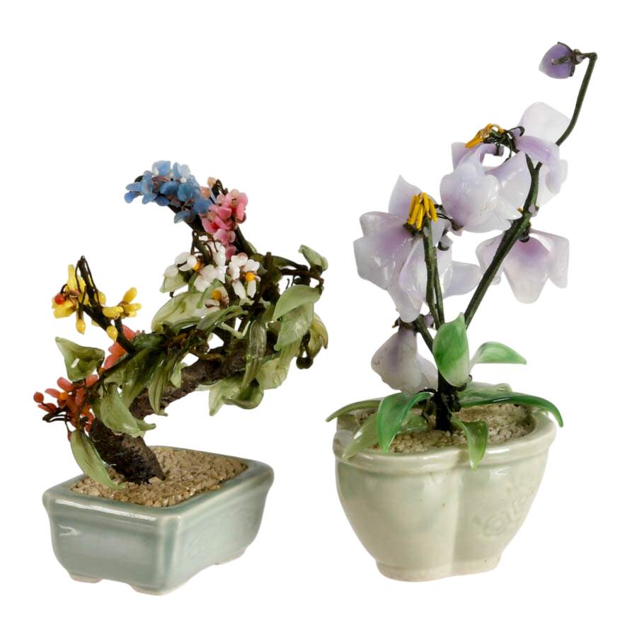 Pair of Chinese Bonsai Jade Tree in Celadon Pots-3
