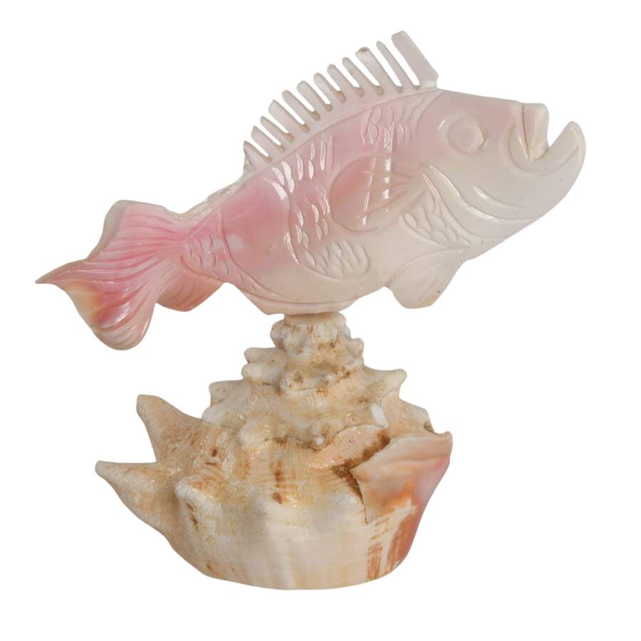 Hand-Carved Conch Shellfish Mounted on a Natural Conch Shell-6