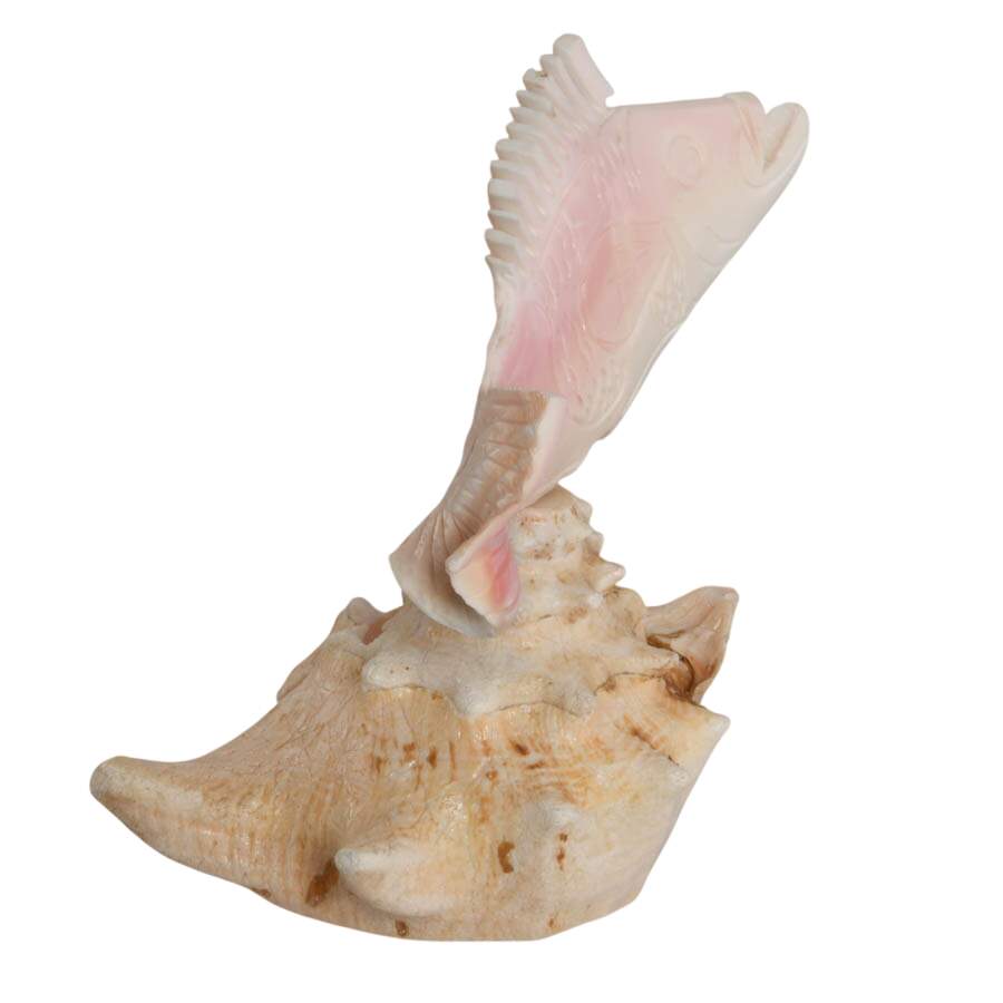 Hand-Carved Conch Shellfish Mounted on a Natural Conch Shell-5