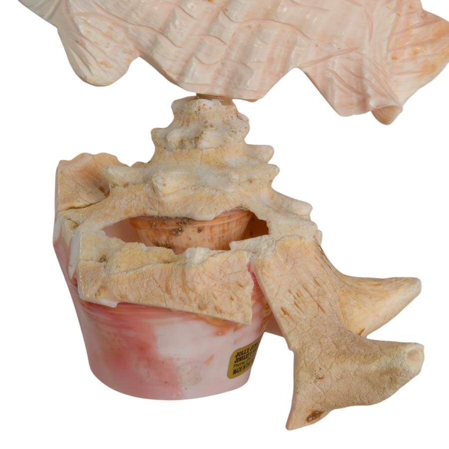 Hand-Carved Conch Shellfish Mounted on a Natural Conch Shell-3