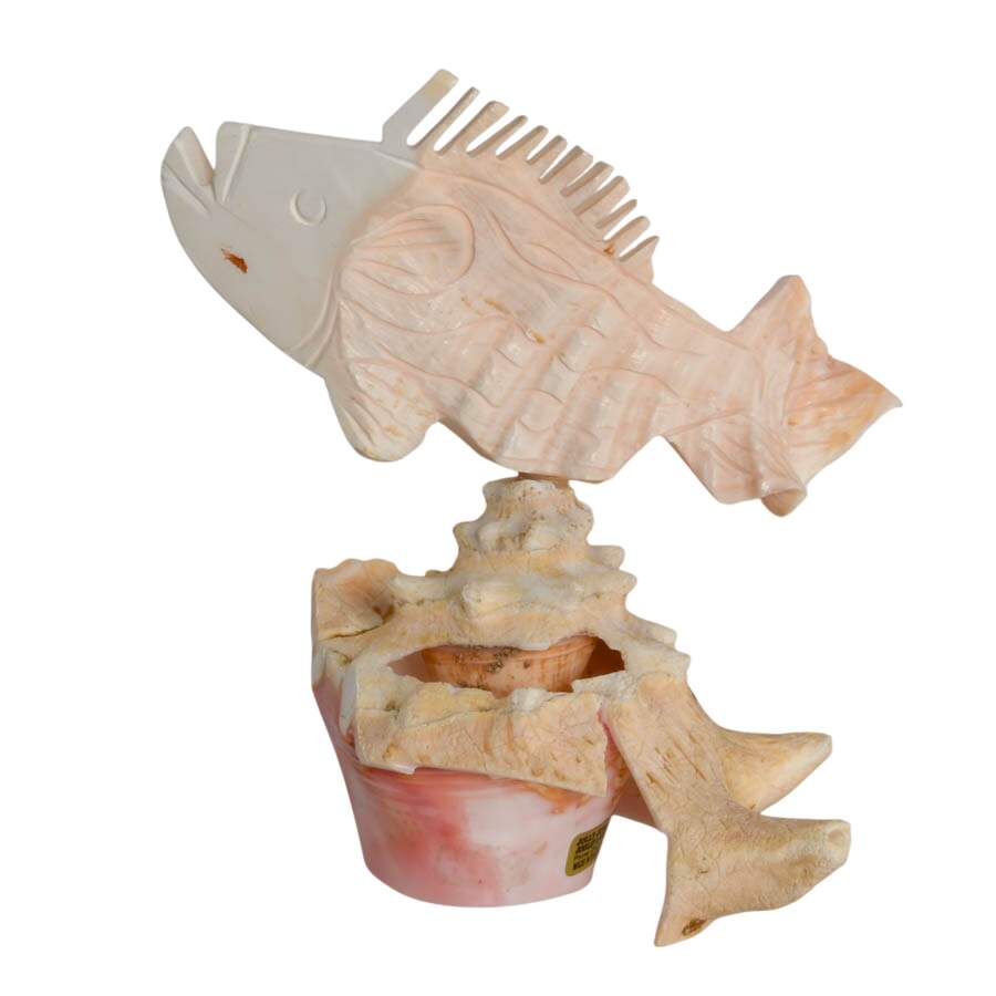 Hand-Carved Conch Shellfish Mounted on a Natural Conch Shell-1