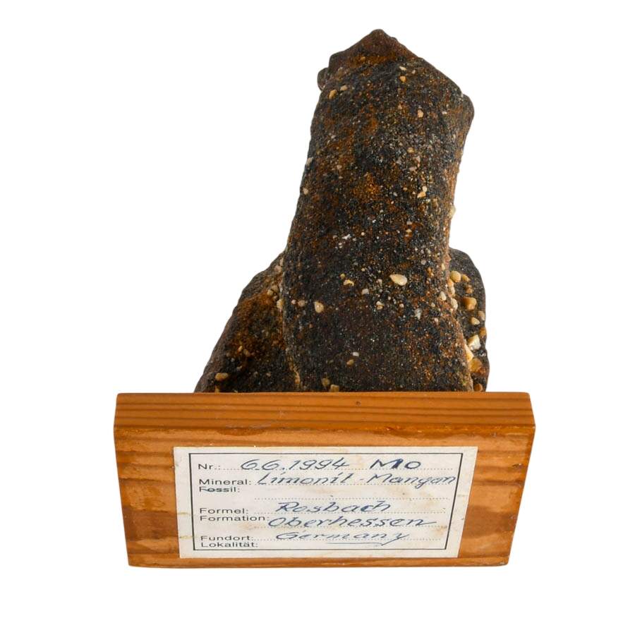 Limonite Mangan German Bog Fossil-10