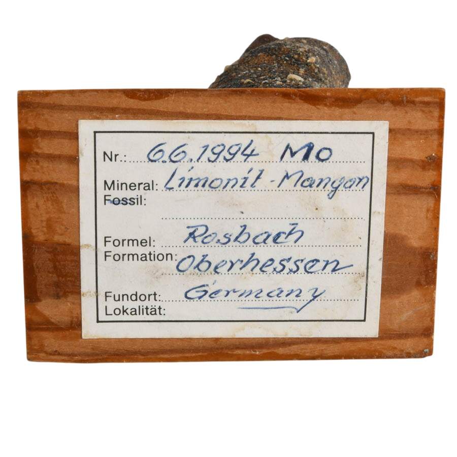 Limonite Mangan German Bog Fossil-9