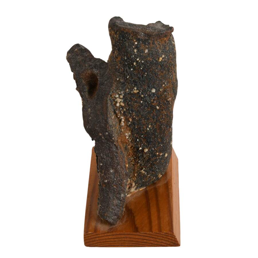 Limonite Mangan German Bog Fossil-8