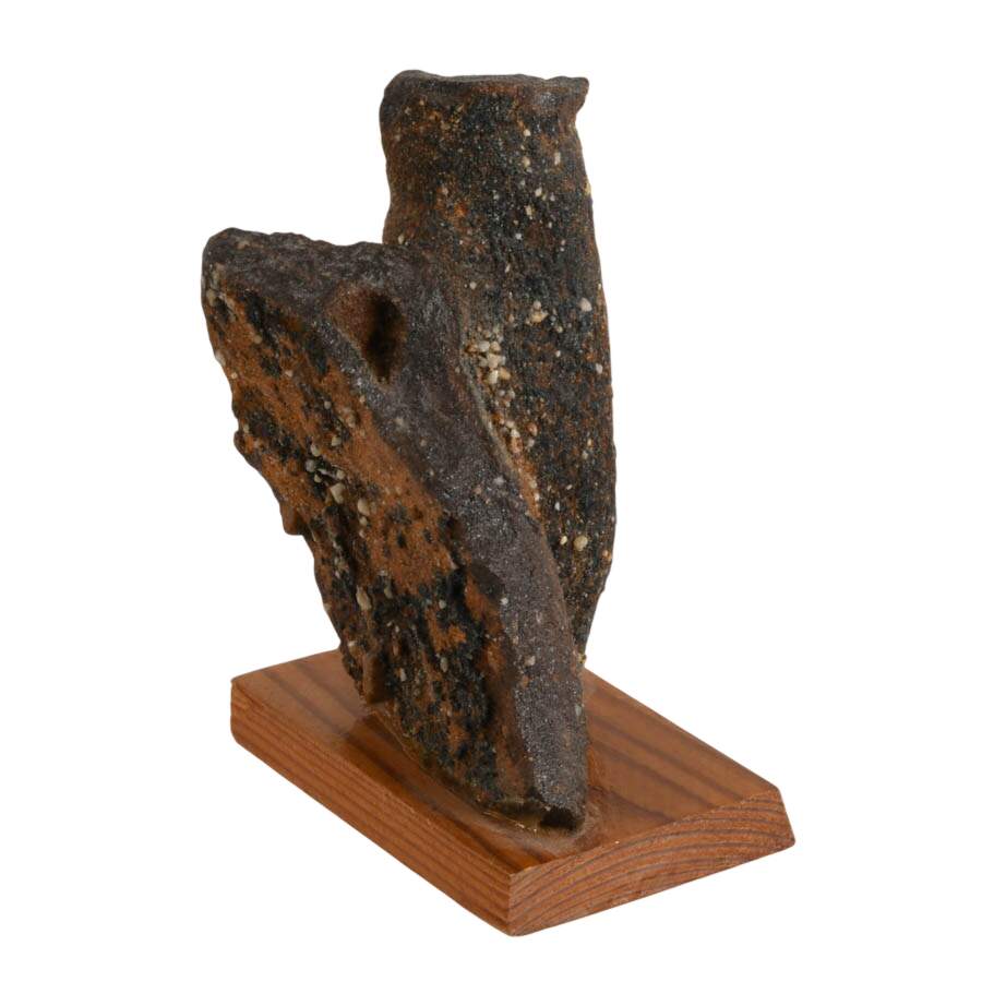 Limonite Mangan German Bog Fossil-7
