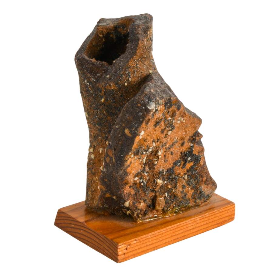 Limonite Mangan German Bog Fossil-5
